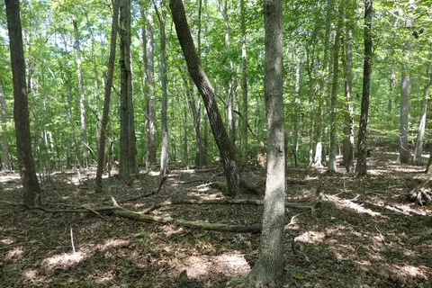 Jerusalem Road, Pacolet, SC 29372 photo 3
