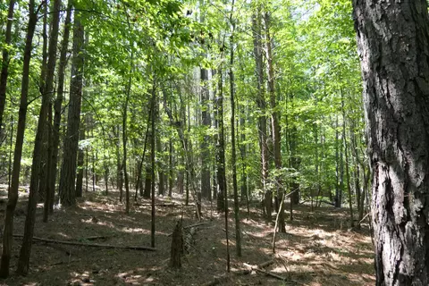 Jerusalem Road, Pacolet, SC 29372 photo 5