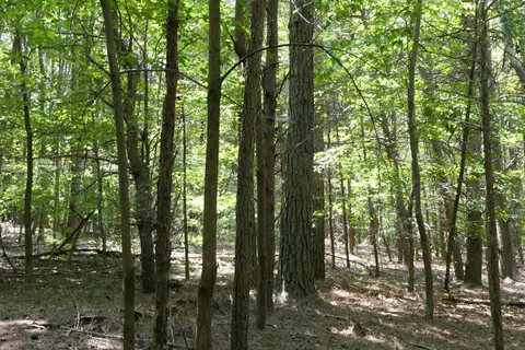 Jerusalem Road, Pacolet, SC 29372 photo 2