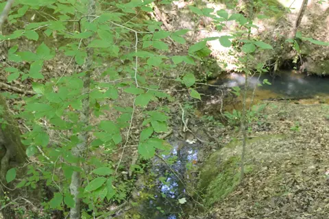 Jerusalem Road, Pacolet, SC 29372 photo 8