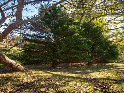 114 Wilderness Rd, Tryon, NC 28782 photo 12