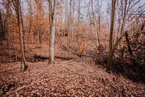 0 Perrine Rd, Gaffney, SC 29341 photo 6