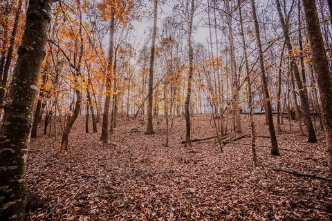 0 Perrine Rd, Gaffney, SC 29341 photo 7