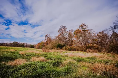 0 Perrine Rd, Gaffney, SC 29341 photo 10
