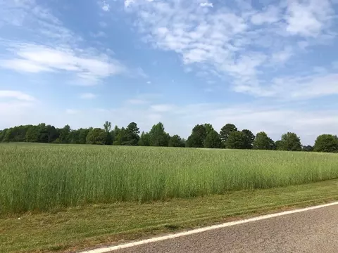 Old Island Ford Rd, Chesness, SC 29323