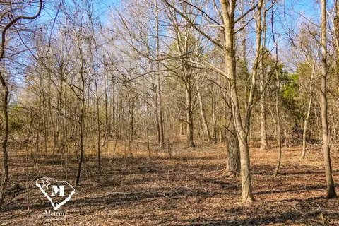 0 Walker Rd, Woodruff, SC 29388 photo 3