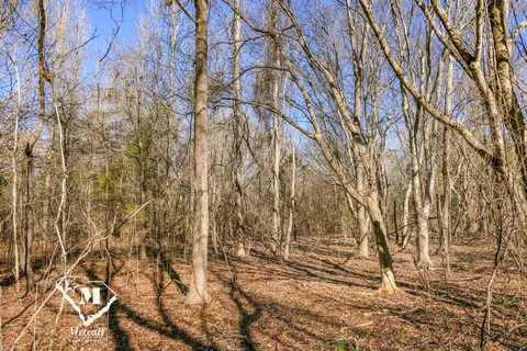 0 Walker Rd, Woodruff, SC 29388 photo 5