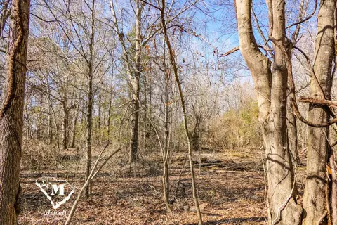 0 Walker Rd, Woodruff, SC 29388 photo 4