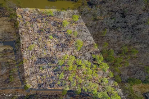 00 Cook Rd, Chesnee, SC 29323