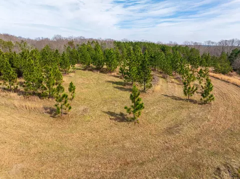 0 Hemlock Rd, Gaffney, SC 29340 photo 32