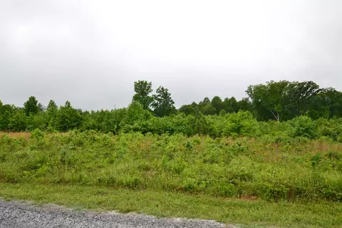 1647 Christopher Rd, Campobello, SC 29322 photo 3