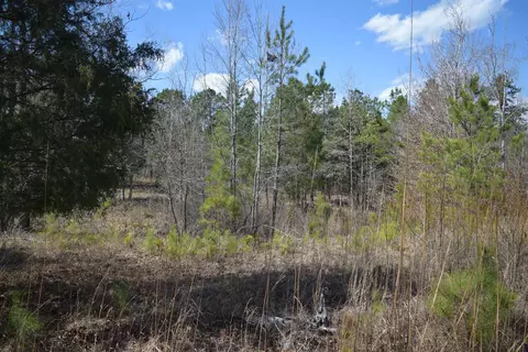 00 Robert Brown Dr, Union, SC 29379 photo 5