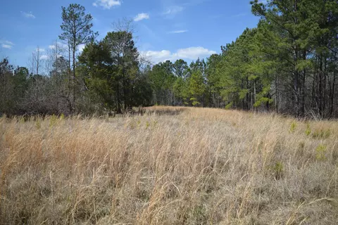 00 Robert Brown Dr, Union, SC 29379 photo 6