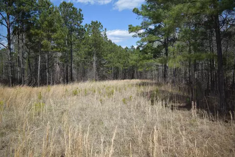 00 Robert Brown Dr, Union, SC 29379 photo 3