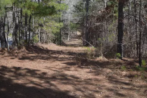 00 Robert Brown Dr, Union, SC 29379 photo 8