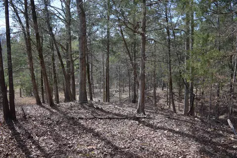 00 Robert Brown Dr, Union, SC 29379 photo 14