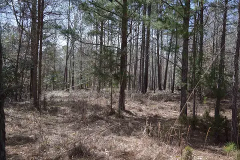 00 Robert Brown Dr, Union, SC 29379 photo 15