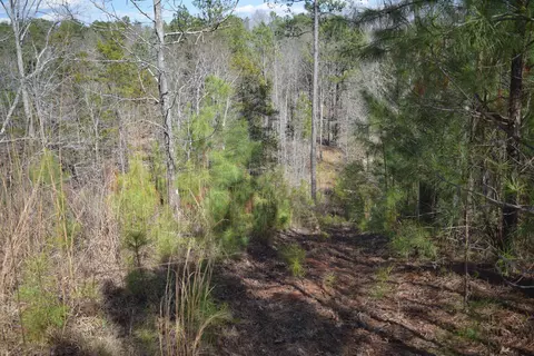 00 Robert Brown Dr, Union, SC 29379 photo 20