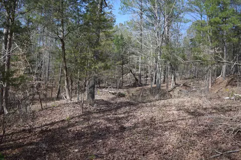 00 Robert Brown Dr, Union, SC 29379 photo 13