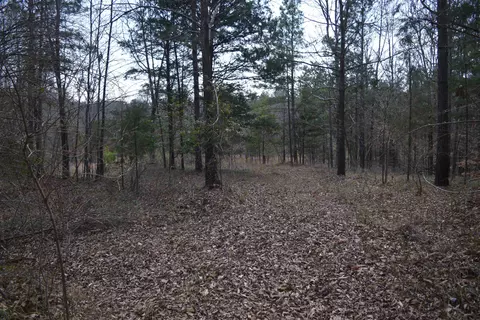 00 Robert Brown Dr, Union, SC 29379 photo 18
