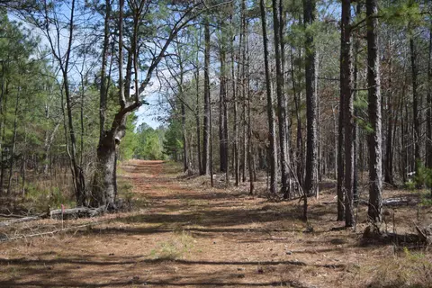 00 Robert Brown Dr, Union, SC 29379 photo 11