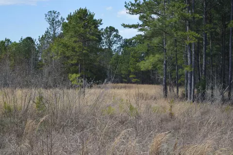 00 Robert Brown Dr, Union, SC 29379 photo 4