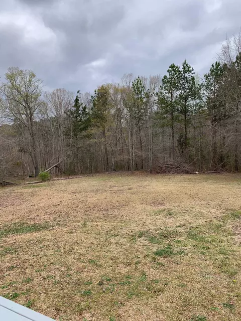 388 Virgina Cir, Waterloo, SC 29384 photo 7