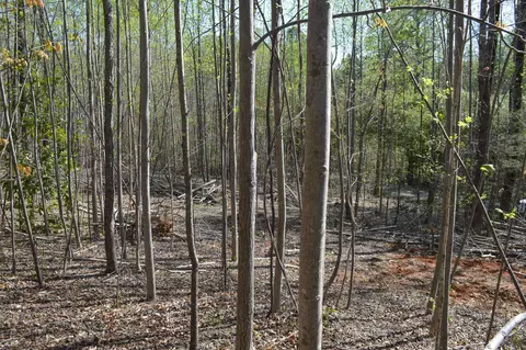 760 N Elm Ave, Landrum, SC 29356