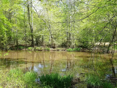 101 N Celestial Dr, Greer, SC 29651 photo 22