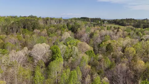 000 Mcdade Rd, Tryon, NC 28782 photo 5
