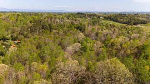 000 Mcdade Rd, Tryon, NC 28782 photo 7