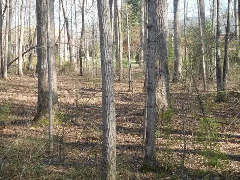 0 Hampton Dr, Gaffney, SC 29341 photo 3