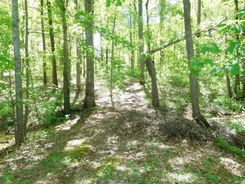 0 Hampton Dr, Gaffney, SC 29341 photo 5