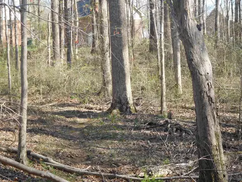 0 Hampton Dr, Gaffney, SC 29341 photo 2
