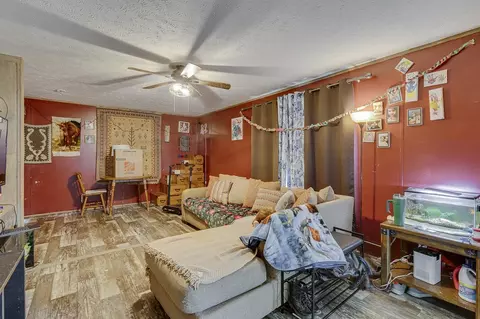 230 Spring St, Enoree, SC 29335 photo 17
