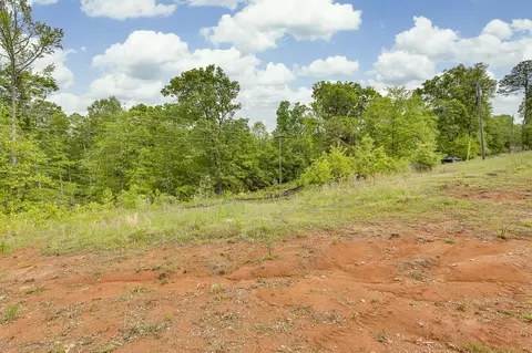 230 Spring St, Enoree, SC 29335 photo 8