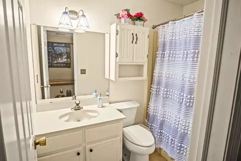 Bath - 25 Little Falls Dr, Tryon, NC 28782 photo 5 of 7