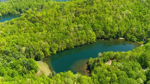 View/Area - 25 Little Falls Dr, Tryon, NC 28782 photo 6 of 8