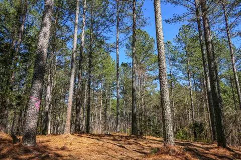 402 Asbury Rd, Pacolet, SC 29372