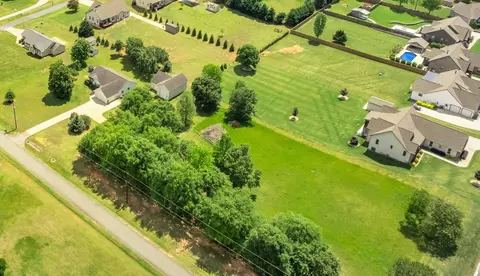 Perry Road, Greer, SC 29651 photo 3