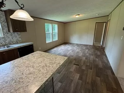 260 Old Highway 357 Hwy, Campobello, SC 29322 photo 8