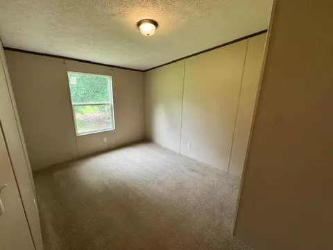 260 Old Highway 357 Hwy, Campobello, SC 29322 photo 9