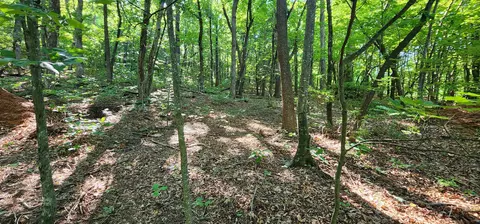 lot71 Serpentine Dr, Columbus, NC 28722