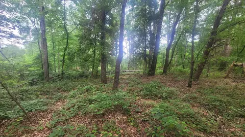 1429 Casey Creek Rd, Chesnee, SC 29323