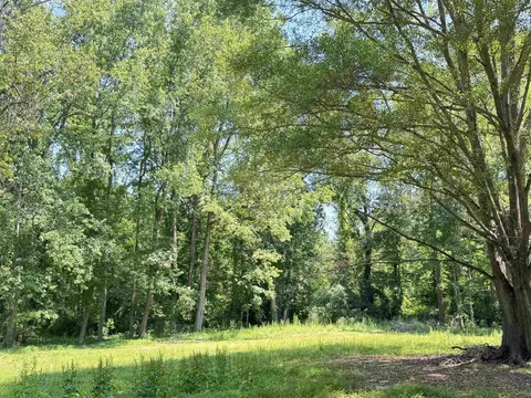 361 Page Rd, Campobello, SC 29322 photo 24