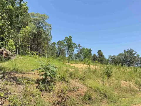 361 Page Rd, Campobello, SC 29322 photo 22