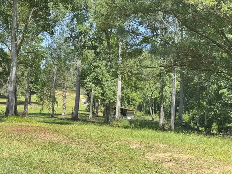 361 Page Rd, Campobello, SC 29322 photo 19