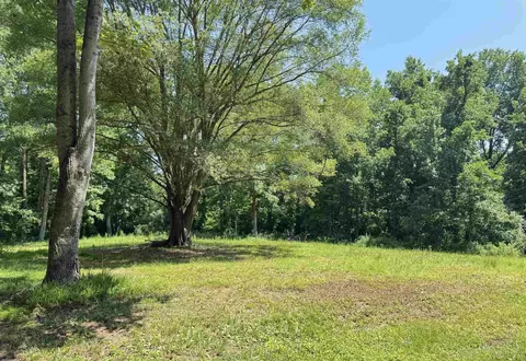 361 Page Rd, Campobello, SC 29322 photo 30