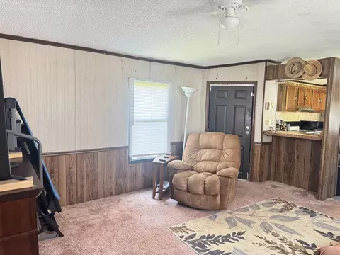 361 Page Rd, Campobello, SC 29322 photo 11