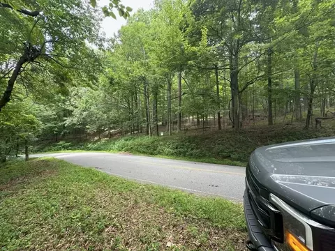 0000 Skyuka Mountain Rd, Columbus, NC 28722